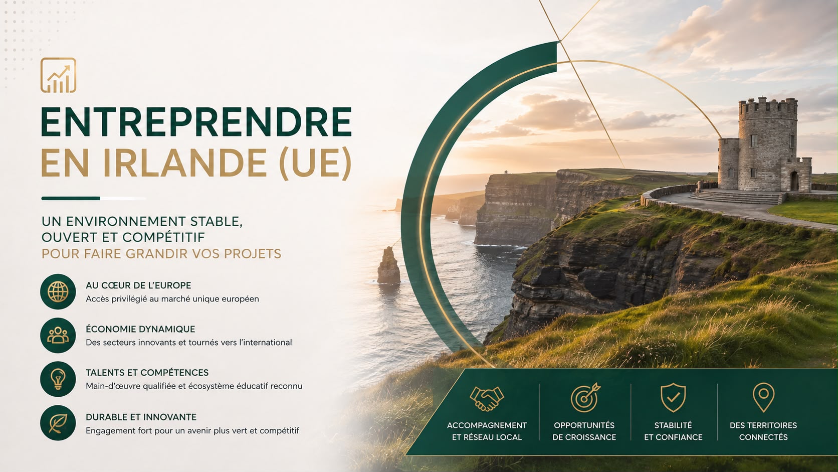 société en Irlande